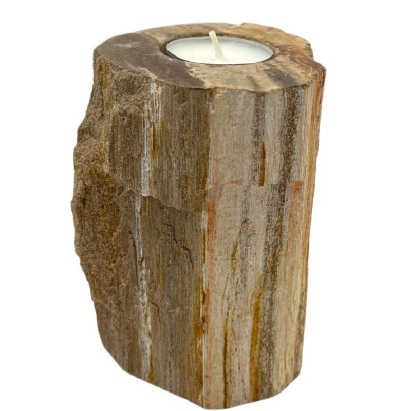 Bougeoir en Bois Pétrifié - 1 Bougie - Haut