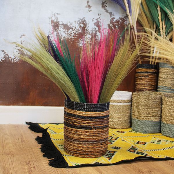 Set 4 - Balai Long Pampa - Couleurs Vives