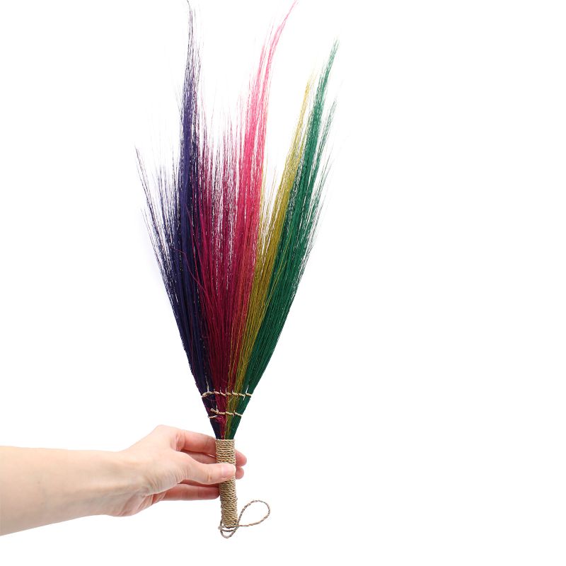 Set 4 - Balai Pampa - Couleurs Arc-en-Ciel