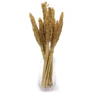 Bouquet d'Herbe de Cantal - Naturelle