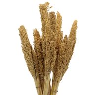 Bouquet d'Herbe de Cantal - Naturelle