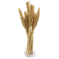 Bouquet d'Herbe de Cantal - Naturelle