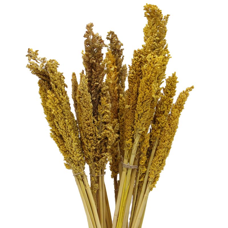 Bouquet d'Herbe de Cantal - Ambrée