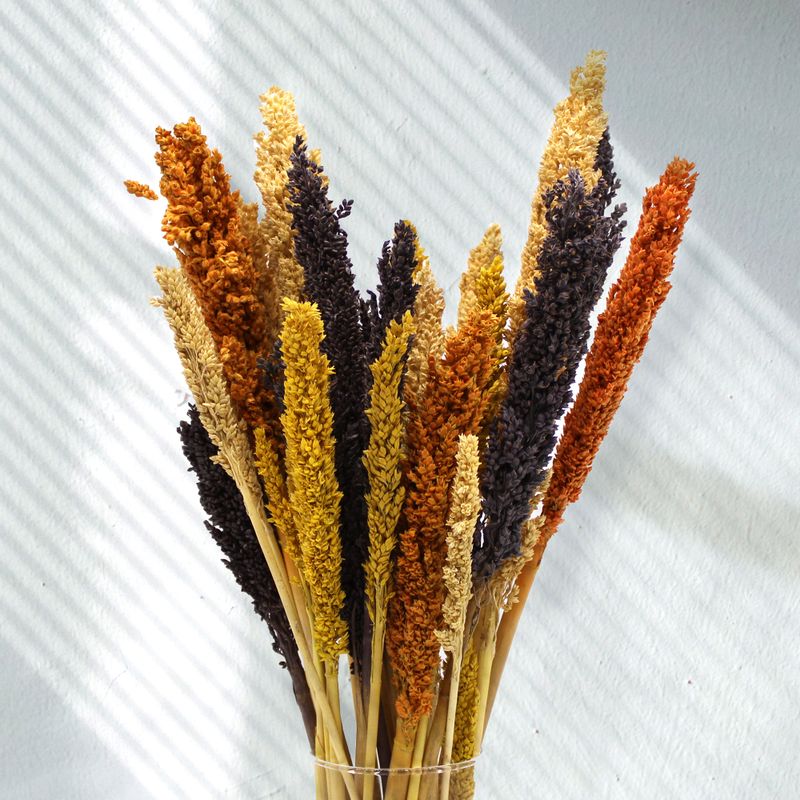 Bouquet d'Herbe de Cantal - Orange