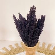 Bouquet d'Herbe de Cantal - Noir