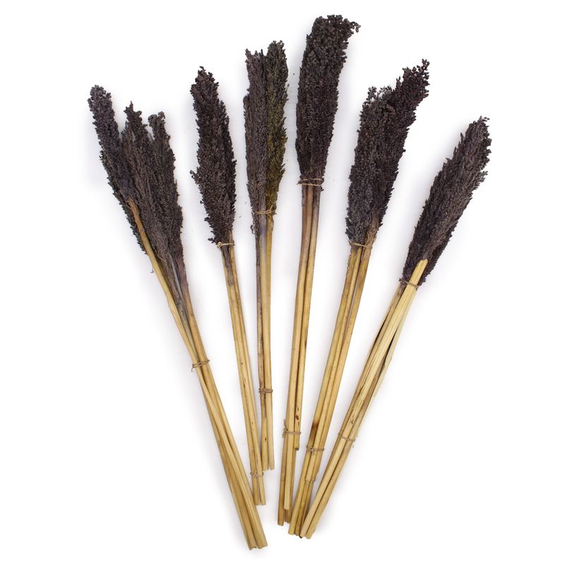Bouquet d'Herbe de Cantal - Noir