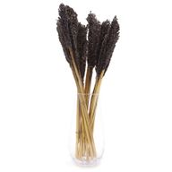 Bouquet d'Herbe de Cantal - Noir