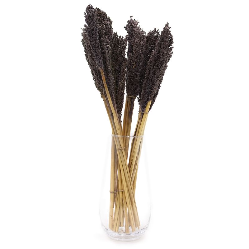 Bouquet d'Herbe de Cantal - Noir