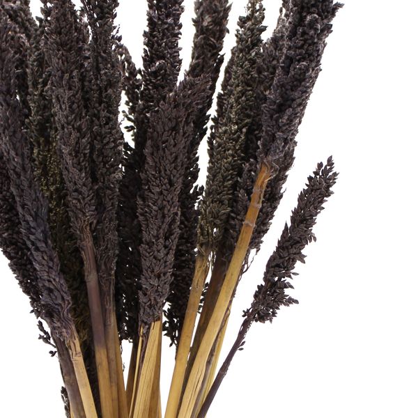 Bouquet d'Herbe de Cantal - Noir