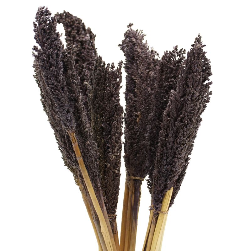 Bouquet d'Herbe de Cantal - Noir