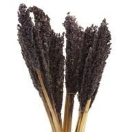 Bouquet d'Herbe de Cantal - Noir