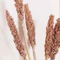 Bouquet d'Herbe de Cantal - Rouillée