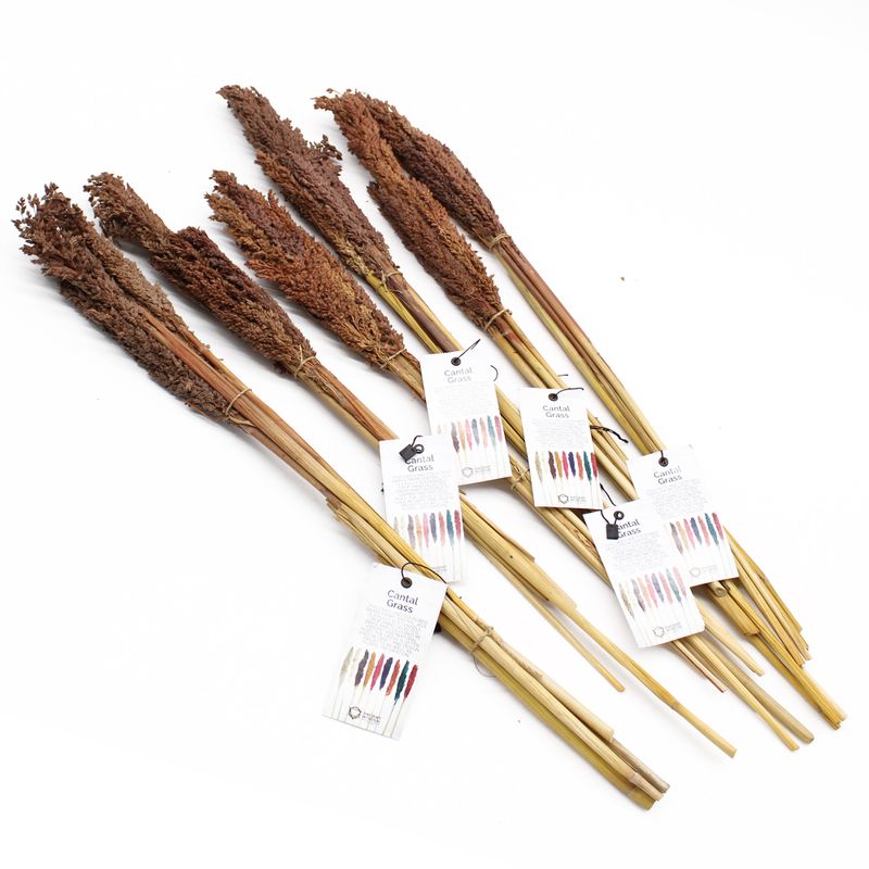 Bouquet d'Herbe de Cantal - Chocolat