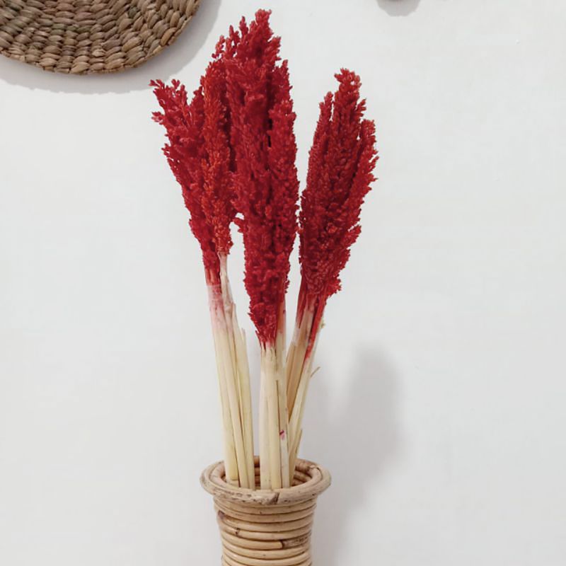 Bouquet d'Herbe de Cantal - Feu