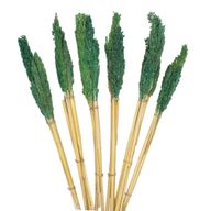 Bouquet d'Herbe de Cantal - Sarcelle