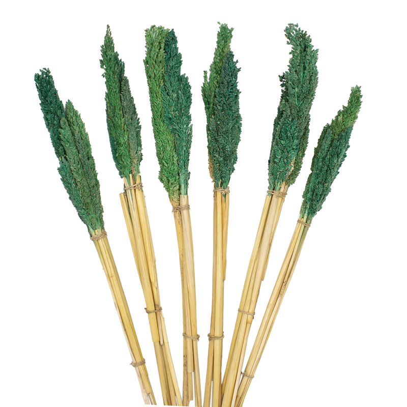 Bouquet d'Herbe de Cantal - Sarcelle