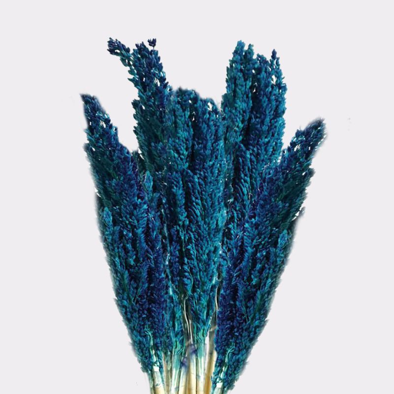 Bouquet d'Herbe de Cantal - Bleu