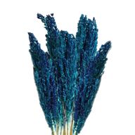 Bouquet d'Herbe de Cantal - Bleu