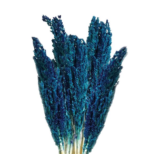 Bouquet d'Herbe de Cantal - Bleu