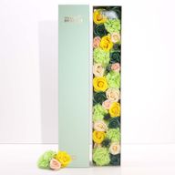 Boîte Extra Longue - Printemps - Jaune & Vert