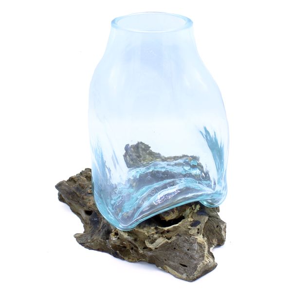 Grand Vase en Verre Soufflé - Pot de Terrarium sur Bois