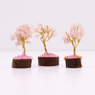 Mini Arbres de Gemmes sur Base en Bois - Quartz Rose (15 pierres)