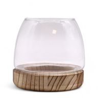Petit Terrarium sur Bois de Tung Naturel - 13x13cm