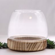 Petit Terrarium sur Bois de Tung Naturel - 13x13cm