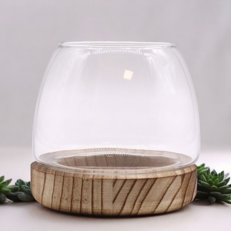 Petit Terrarium sur Bois de Tung Naturel - 13x13cm