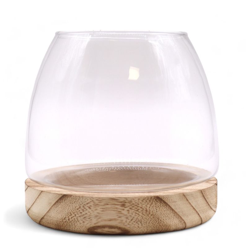 Terrarium Moyen sur Bois de Tung Naturel - 15x15cm