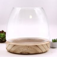 Terrarium Moyen sur Bois de Tung Naturel - 15x15cm