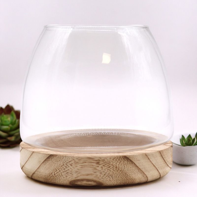 Terrarium Moyen sur Bois de Tung Naturel - 15x15cm