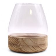 Grand Terrarium sur Bois de Tung Naturel - 17x19cm