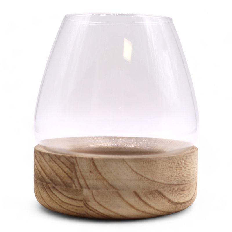 Grand Terrarium sur Bois de Tung Naturel - 17x19cm