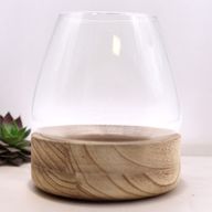 Grand Terrarium sur Bois de Tung Naturel - 17x19cm