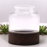 Petit Terrarium de Forme sur Bois de Tung Foncé - 12x13cm
