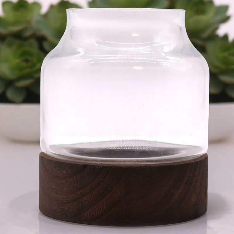 Terrarium de Forme Moyenne sur Bois de Tung Foncé - 16x18cm