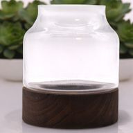 Terrarium de Forme Moyenne sur Bois de Tung Foncé - 16x18cm