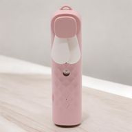 Ventilateur et spray pour le visage Pink Nano Mist - rechargeable par USB