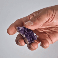 Petite grappe d'améthyste naturelle de haute qualité (environ 3 à 8 cm)