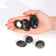 Pierres de palmier labradorite de Madagascar (environ 17-40 g 35-50 mm)