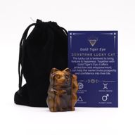 Pierre précieuse Lucky Cat - Oeil de tigre doré 50x35x25mm