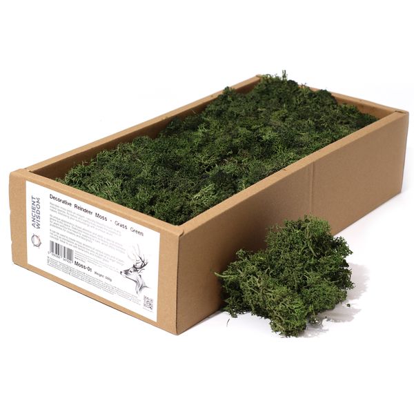 Décoration mousse de rennes - vert gazon - (approx 500gm)