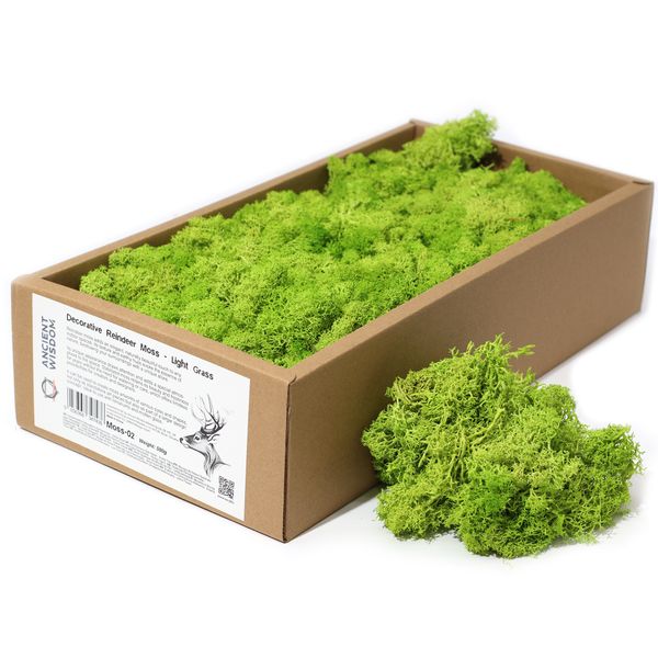 Décoration mousse de rennes - herbe claire - (environ 500g)