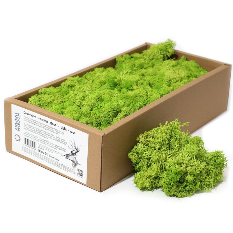 Décoration mousse de rennes - herbe claire - (environ 500g)