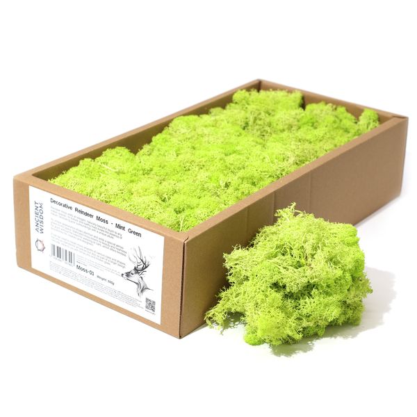 Décoration mousse de rennes - Vert menthe - (environ 500g)