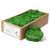Décoration mousse de rennes - Vert mousse - (environ 500g)