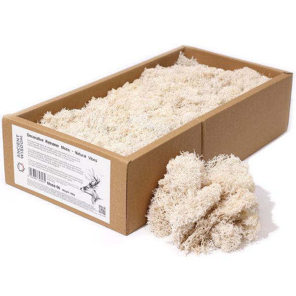 Décoration mousse de rennes - Natural Vibes - (environ 500g)