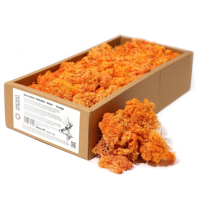 Décoration Mousse de rennes - Orange - (environ 500g)