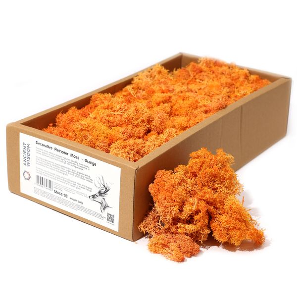 Décoration Mousse de rennes - Orange - (environ 500g)